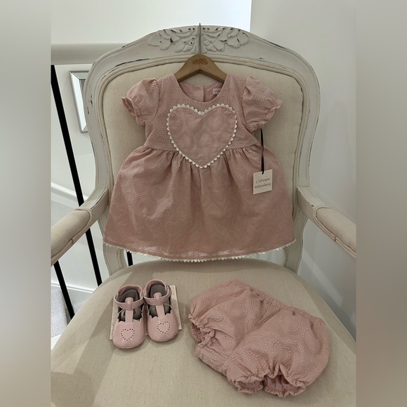 Catherine Malandrino Other - 🦢 24 Mth Dusty Rose Embroidered Heart Baby Dress with White Trim 3 Piece Set NWT